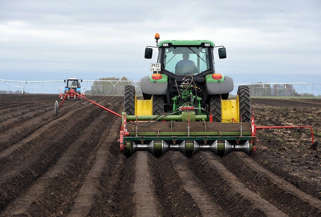 posevnaya_15.04.jpg posevnaya_15.04.jpg